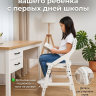 Стул растущий ROLTI Ergo-Smart